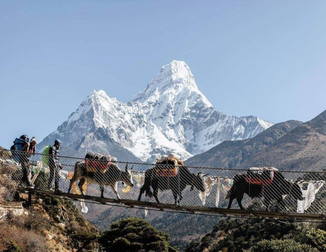 Everest Base Camp 15 days standard Trek.